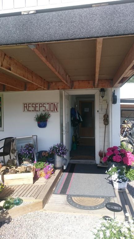 Hammerstad Camping Svolvær Dış mekan fotoğraf