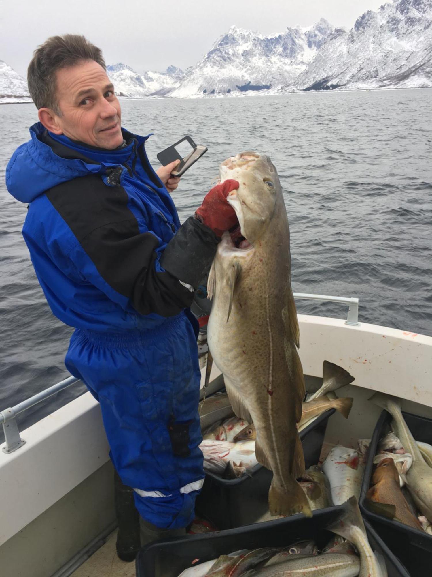 Hammerstad Camping Svolvær Dış mekan fotoğraf