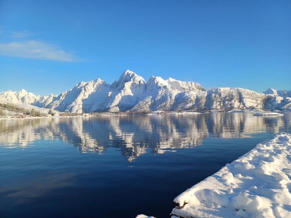 Hammerstad Camping Svolvær Dış mekan fotoğraf