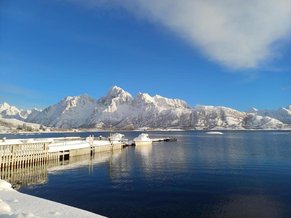 Hammerstad Camping Svolvær Dış mekan fotoğraf