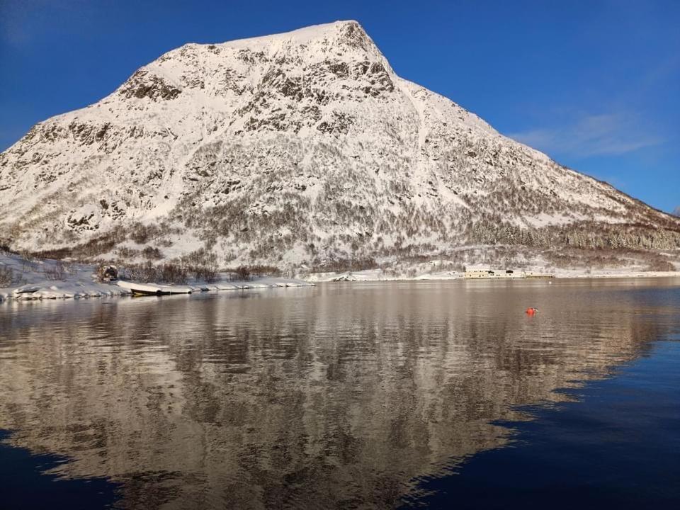 Hammerstad Camping Svolvær Dış mekan fotoğraf