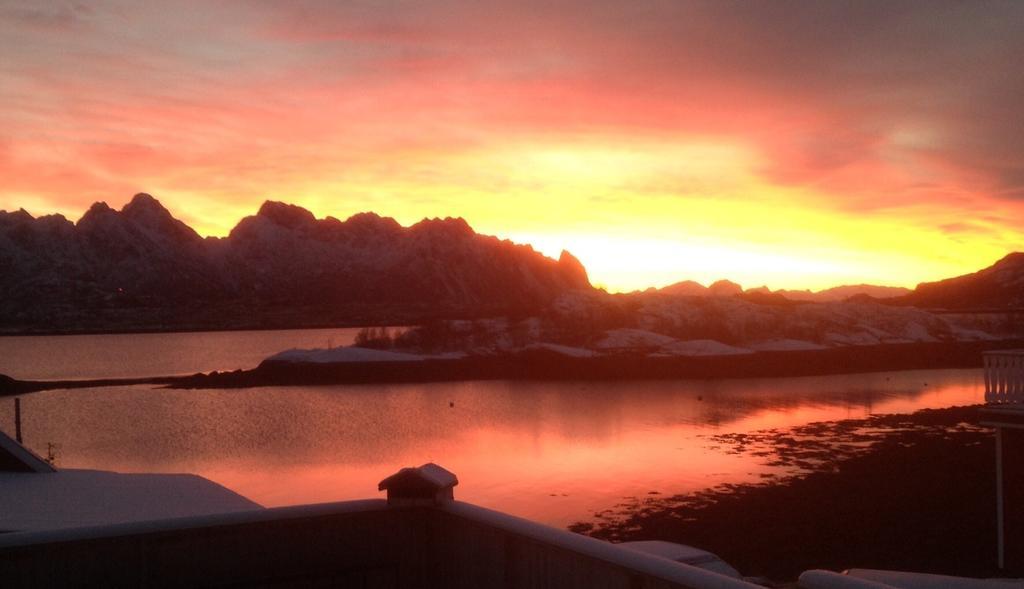 Hammerstad Camping Svolvær Dış mekan fotoğraf